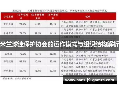 米兰球迷保护协会的运作模式与组织结构解析