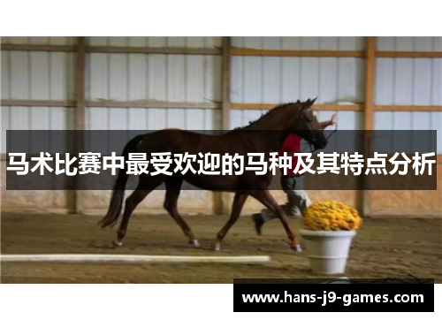 马术比赛中最受欢迎的马种及其特点分析
