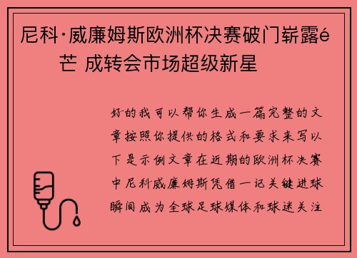 尼科·威廉姆斯欧洲杯决赛破门崭露锋芒 成转会市场超级新星