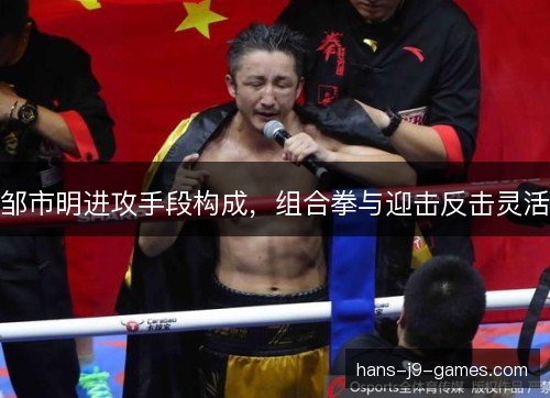 邹市明进攻手段构成，组合拳与迎击反击灵活